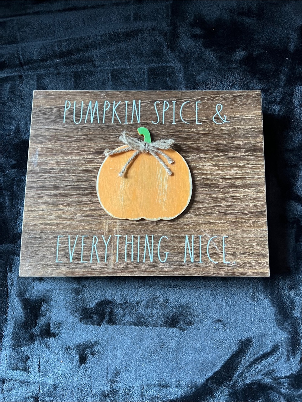 Rae Dunn Pumpkin Spice & Everything Nice Orange Pumpkin Wall Sign